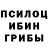 Псилоцибиновые грибы Psilocybe Timur Botashev