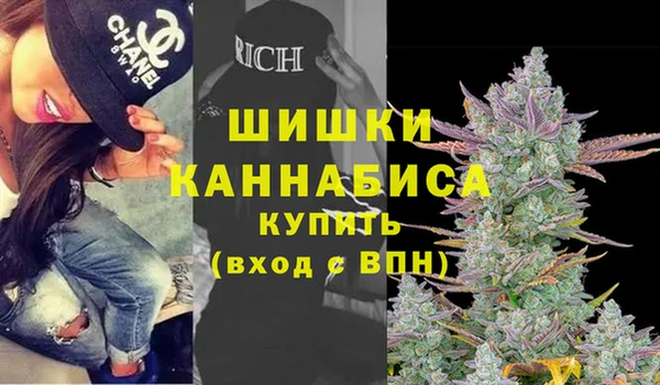 ГАЛЛЮЦИНОГЕННЫЕ ГРИБЫ Алексеевка
