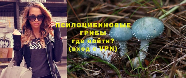 крисы Приозерск