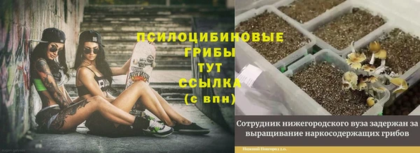 ГАЛЛЮЦИНОГЕННЫЕ ГРИБЫ Алексеевка