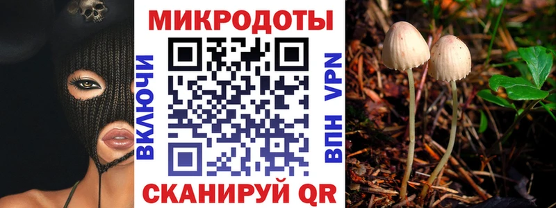 Галлюциногенные грибы MAGIC MUSHROOMS  Полярные Зори 